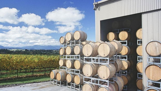 Yarra Valley and Dandenong Ranges Scenic Tour - Foto 4